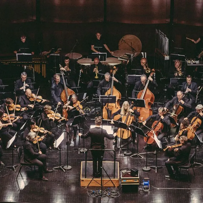 Concert SV 720px (2).jpg