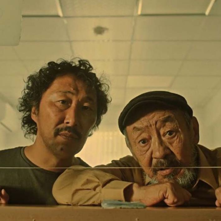 Le Feu - 1 - 720x720px.jpg